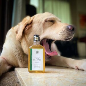 Coco Veda Pet Shampoo - Anti-Itch - Image 2