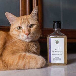 Coco Veda Pet Shampoo - Moisturising - Image 3