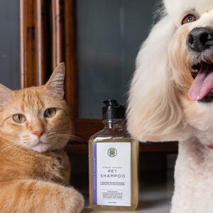 Pet Care